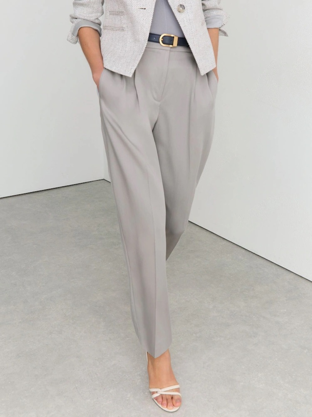 Aritzia Babaton Cohen Pleated Pants Ankle Trouser Size 8 Ash Gray Straight Leg